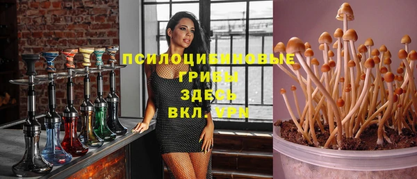 эйфоретик Верхний Тагил