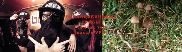 эйфоретик Верхний Тагил