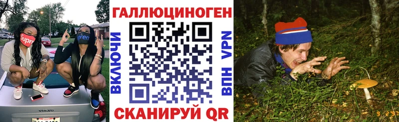 Псилоцибиновые грибы Cubensis  Купить где  Ветлуга 